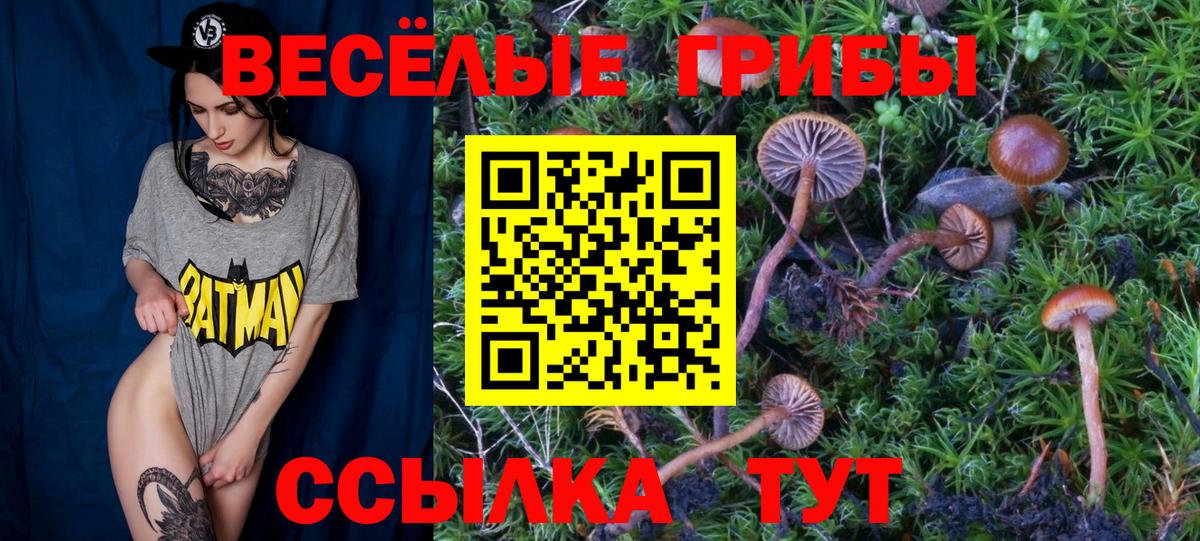 Псилоцибиновые грибы мицелий  Вход с VPN  Галлюциногенные грибы MAGIC MUSHROOMS  Осинники 